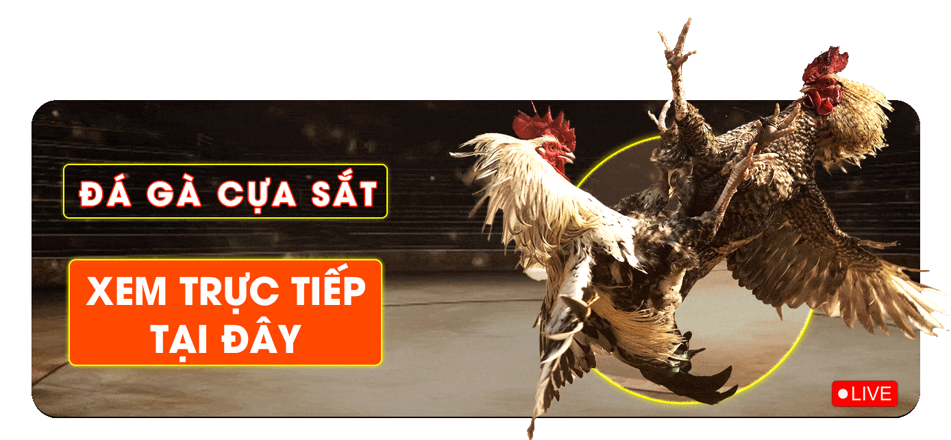 Đá gà cửa sắt
