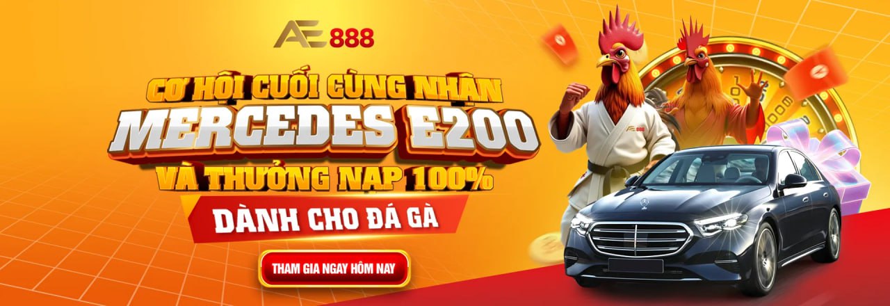 Đá gà trực tiếp 4